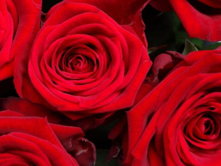 19:15 Gedicht: Mening, van Herman de Coninck