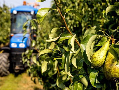 Het weekend van Wessel van Olst