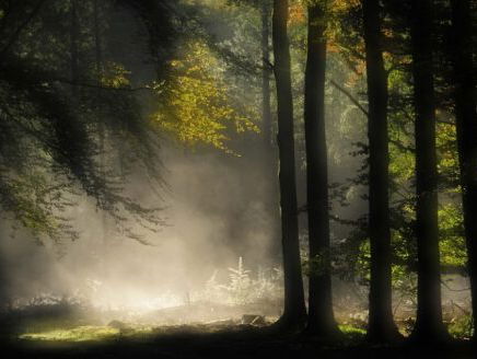 19:05 Gedicht: Zomernacht van J.H. Leopold