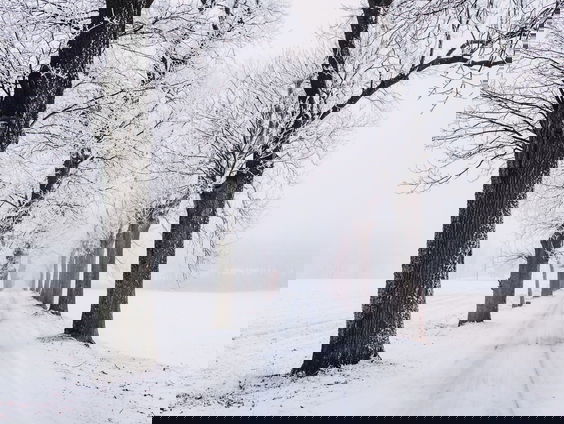 Lekkere Track: Koper liefde van Anneke