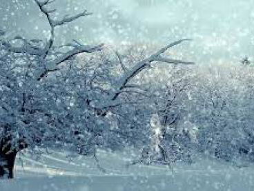 19:05 Gedicht: Sneeuw, van Adriaan Morriën