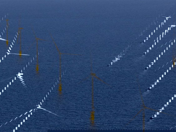 Natuurorganisaties willen geen stroomkabel over Schiermonnikoog