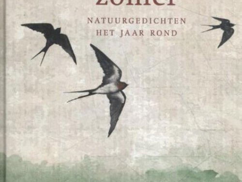 19:13u Gedicht: Vreemde vogel, van Leonard Nolens