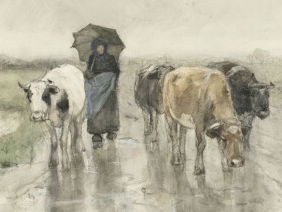 Museumtip: Weer en wind