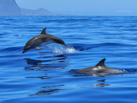 Groetjes uit... Gran Canaria