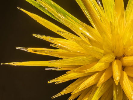 Museumtip: Chihuly in het Groninger Museum