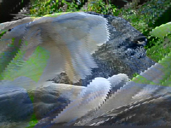 Kettingreactie 23 november 2021