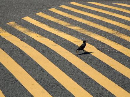 Het gesprek - Anaïs López