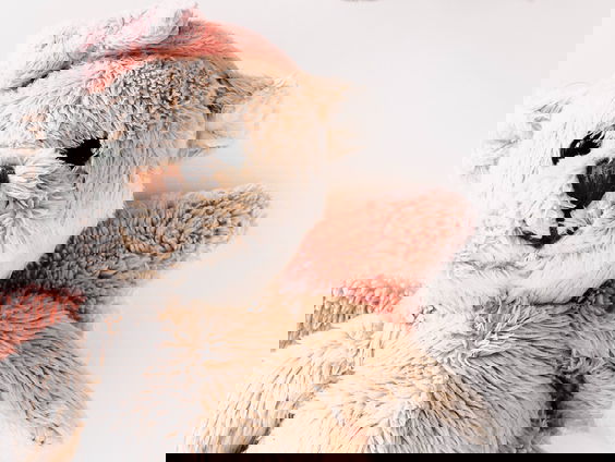 Lekkere Track: Babynieuws!