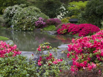 Een dankwoord aan philharmonie zuidnederland