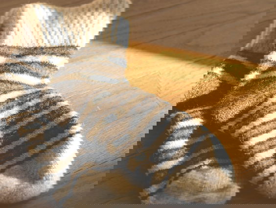 Lekkere Track: Verdwenen sokken