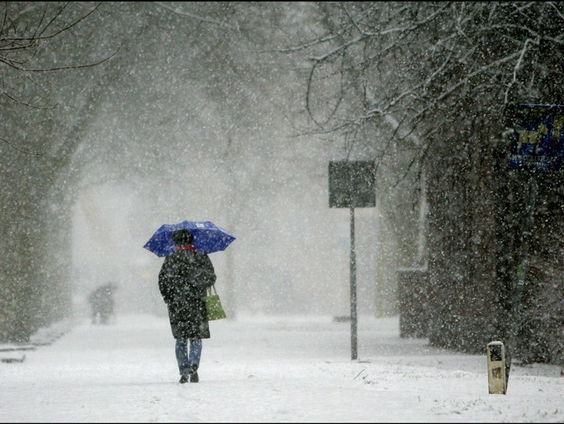 Weeronline presenteert jaaroverzicht