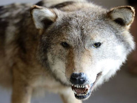 7:15 Terugblik op de week