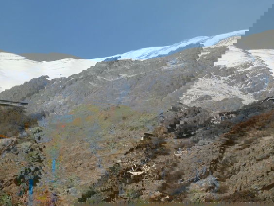 Gedicht: tot rust gaan, van Sholeh Rezazadeh