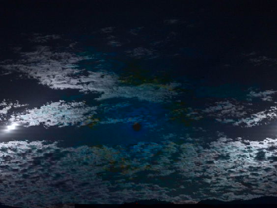 RadioReisDienst: Liefde in Frankrijk