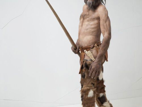 Museumtip: Ötzi de ijsmummie