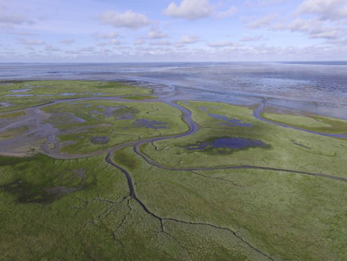19:14 Gedicht: Water, van Wislawa Szymborska