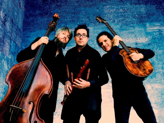 Wildes Holz en de klank van de bomen