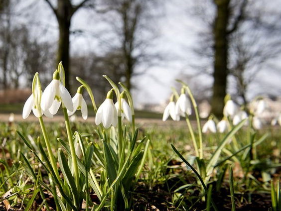 De jaarlijkse Natuurwerkdag in je eigen tuin