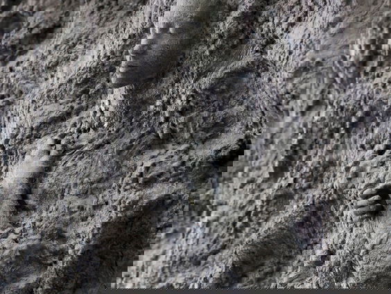 Museumtip: Beelden van Lotta Blokker