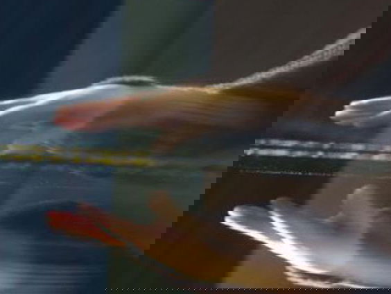 Vrijdag - Klassieke Bibliotheek: Anna Enquist - Contrapunt