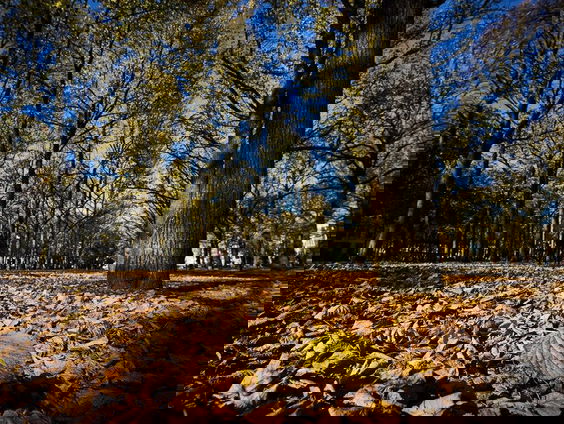 De Vier Jaargetijden zijn aangepast aan de klimaatverandering