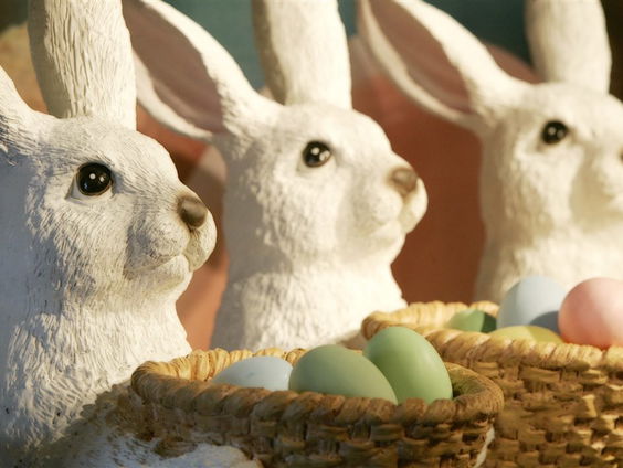 Rotterdams Philharmonisch Orkest komt met concertvideo in Paassfeer