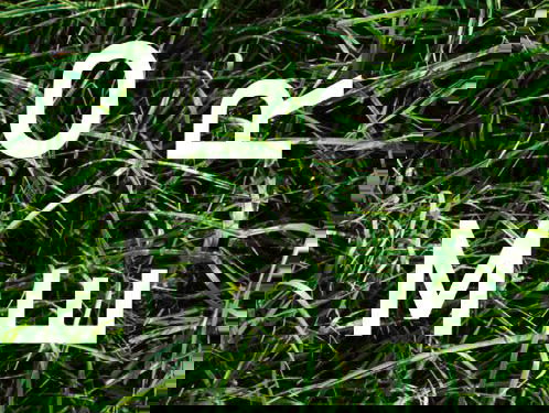 Boek van de week: Zomer