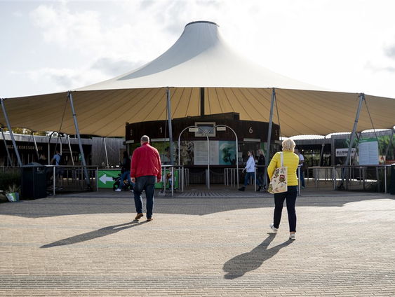 Hebben dierentuinen het moeilijk door de coronacrisis?