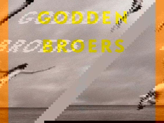 Boek van de week: De Godden broers