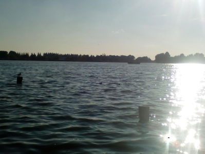 8.15 Arnold van Vliet over droogte