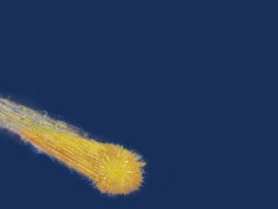 19:05 Poëzie: Open de deur van het gedicht, van Stefan Hertmans