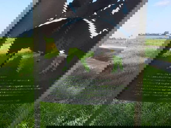 De buitenkunstverkiezing: Regio Noord