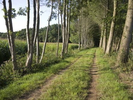19:05 Gedicht: De berichten van L.F. Rosen