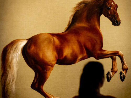 Museumtip: Het Mauritshuis