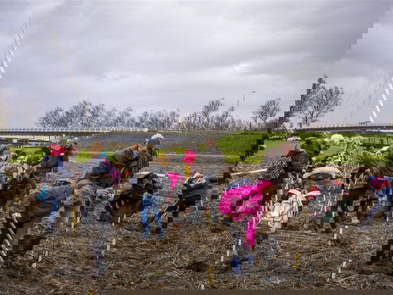 De jaarlijkse Boomfeestdag komt eraan