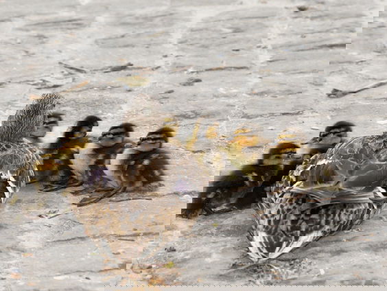 Mooi Moment: Natuur en stad