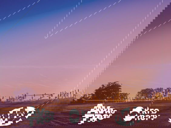 Een knalpaarse kinderkamer?!