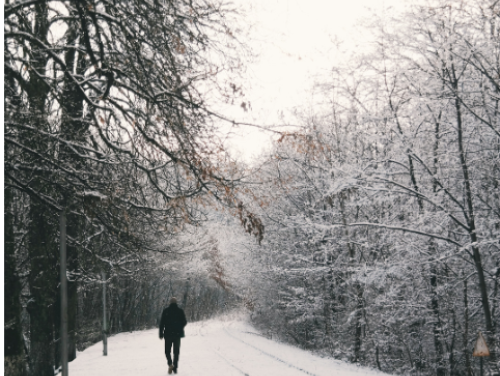 Lekkere Track: Franz Schubert - Erstarrung