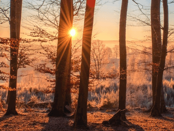Gedicht: men ziet: de zon staat laag, van Gerrit Kouwe