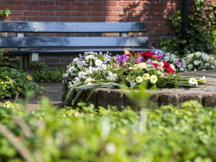 Het weekend van Dhyan Duijn