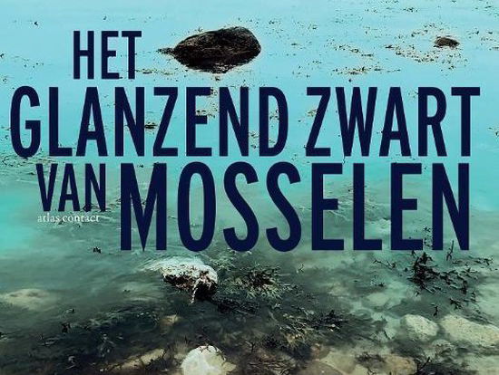 Het gesprek - Oek de Jong