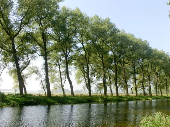 Gedicht: Februarizon, van Paul Rodenko