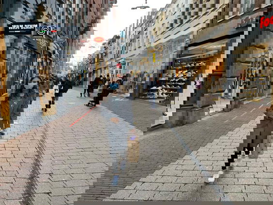 Hollandse Nieuwe! Rampliederen van Camerata Trajectina, deel IV: corona