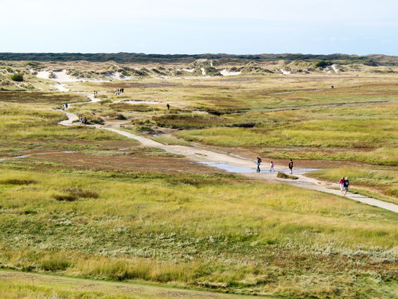 Gedicht: De zomer kan me gestolen worden I, van Jan Wolkers