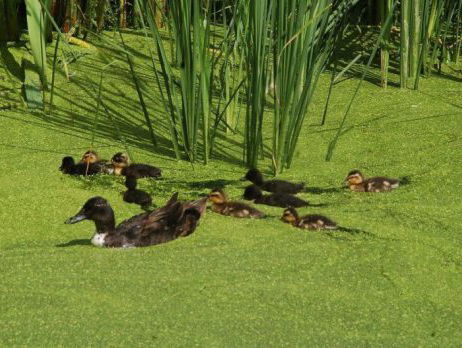 19:05 Gedicht: Het kind en ik