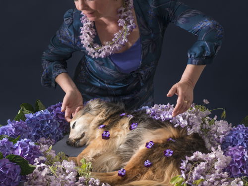 Museumtip: 'De Laatste Aai'