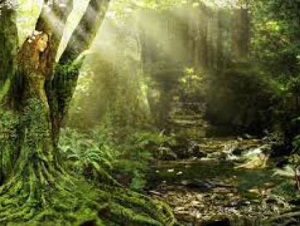 19:30 Hollandsche Nieuwe! Calefax speelt Josquin des Prez