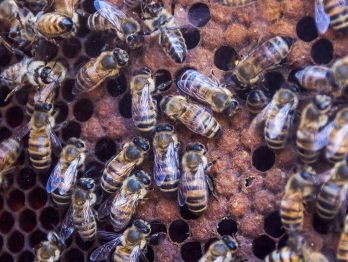 Het weekend van Vincent Kalkman