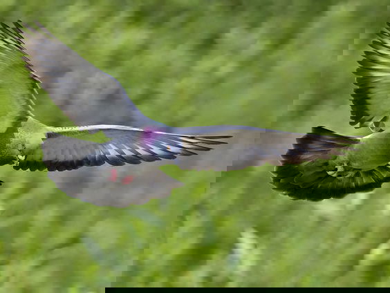 Kettingreactie 30 november 2021